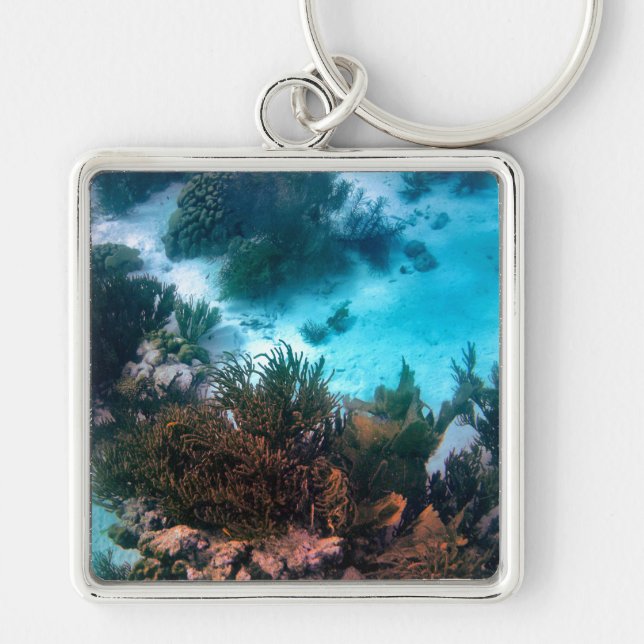 Bonairean Reef Key Ring (Front)