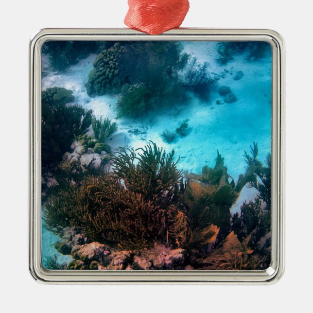 Bonairean Reef Metal Tree Decoration (Front)