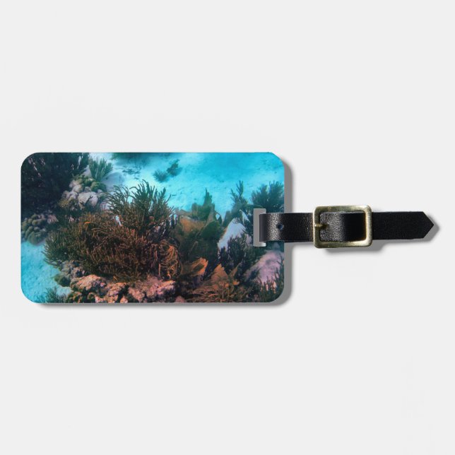 Bonairean Reef Personalised Luggage Tag (Front Horizontal)
