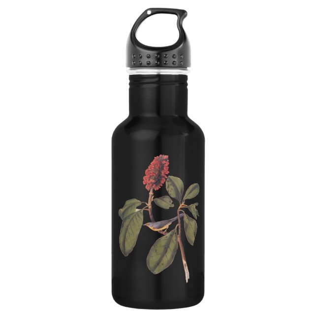 Bonaparte Flycatcher Audubon Bird in Magnolia 532 Ml Water Bottle (Front)