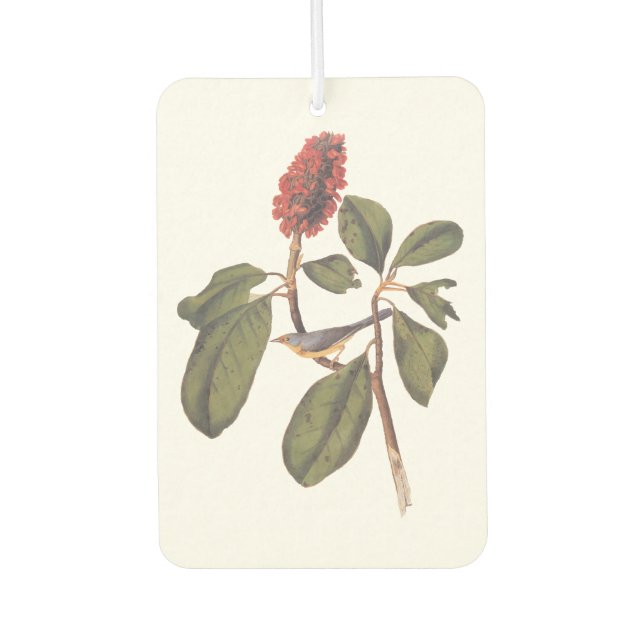 Bonaparte Flycatcher Canada Warbler Audubon Bird Car Air Freshener (Front)