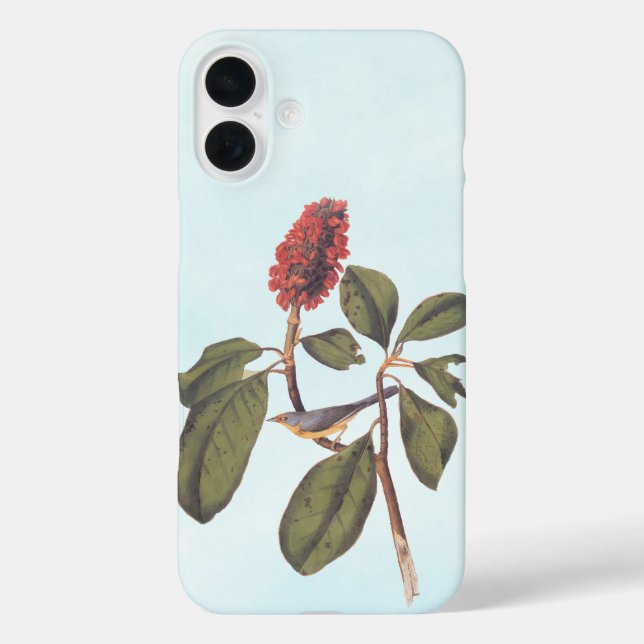 Bonaparte Flycatcher Canada Warbler Audubon Bird Case-Mate iPhone Case (Back)