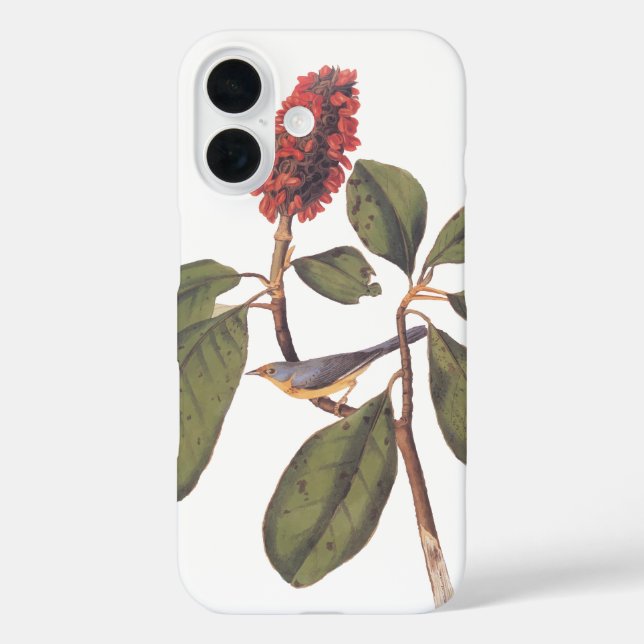 Bonaparte Flycatcher Canada Warbler Audubon Bird Case-Mate iPhone Case (Back)