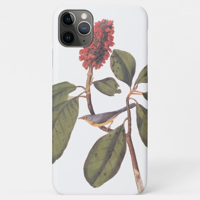 Bonaparte Flycatcher Canada Warbler Audubon Bird Case-Mate iPhone Case (Back)