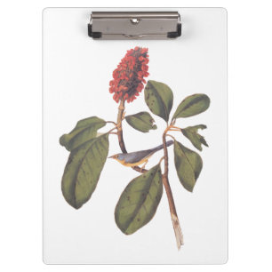 Bonaparte Flycatcher Canada Warbler Audubon Bird Clipboard