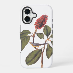 Bonaparte Flycatcher Canada Warbler Audubon Bird iPhone 16 Case