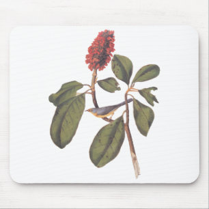 Bonaparte Flycatcher Canada Warbler Audubon Bird Mouse Mat