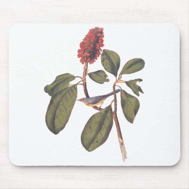Bonaparte Flycatcher Canada Warbler Audubon Bird Mouse Mat (Front)