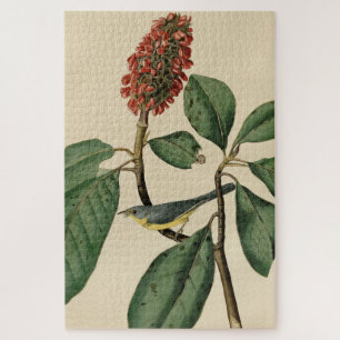 Bonaparte's Flycatcher, Audubon's Birds of America Jigsaw Puzzle
