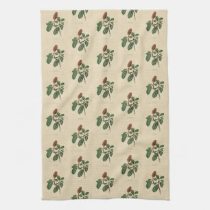Bonaparte's Flycatcher, Audubon's Birds of America Tea Towel