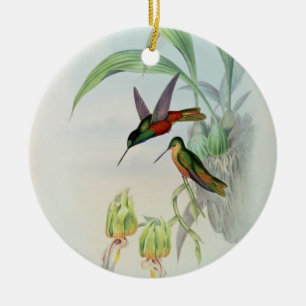 Bonaparte's Star Fronted Hummingbird (coloured lit Ceramic Tree Decoration