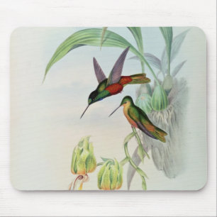 Bonaparte's Star Fronted Hummingbird (coloured lit Mouse Mat