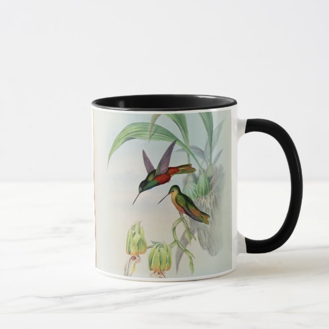 Bonaparte's Star Fronted Hummingbird (coloured lit Mug (Right)