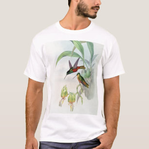 Bonaparte's Star Fronted Hummingbird (coloured lit T-Shirt
