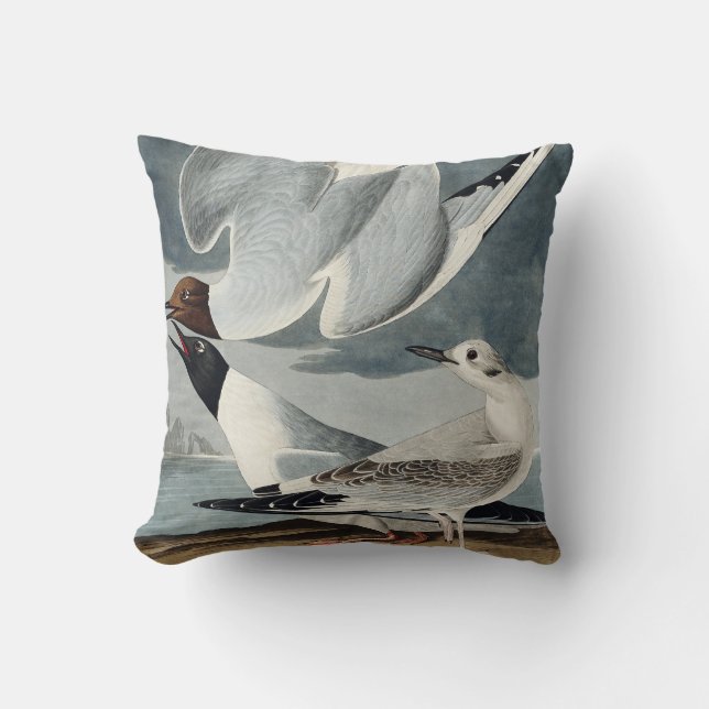 Bonapartian Gull from Birds of America Cushion (Front)