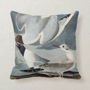 Bonapartian Gull from Birds of America Cushion