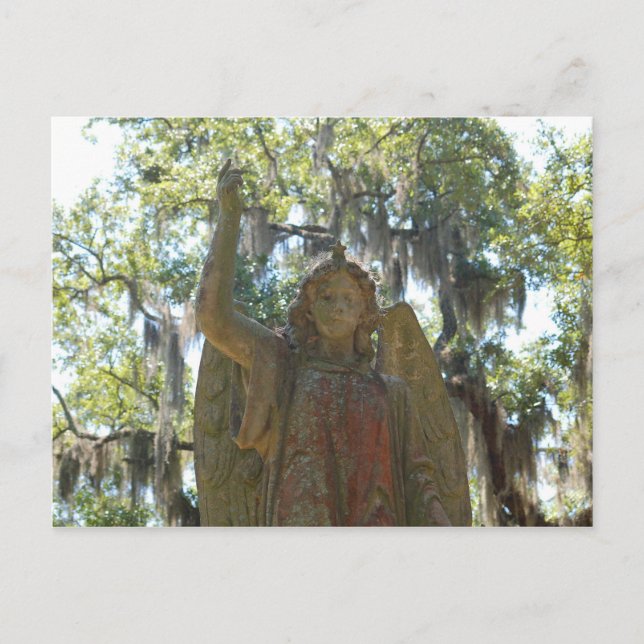 Bonaventure Cemetery, Savannah GA Postcard (Front)