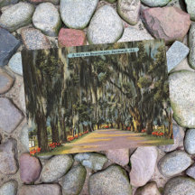 Bonaventure Drive Savannah GA retro