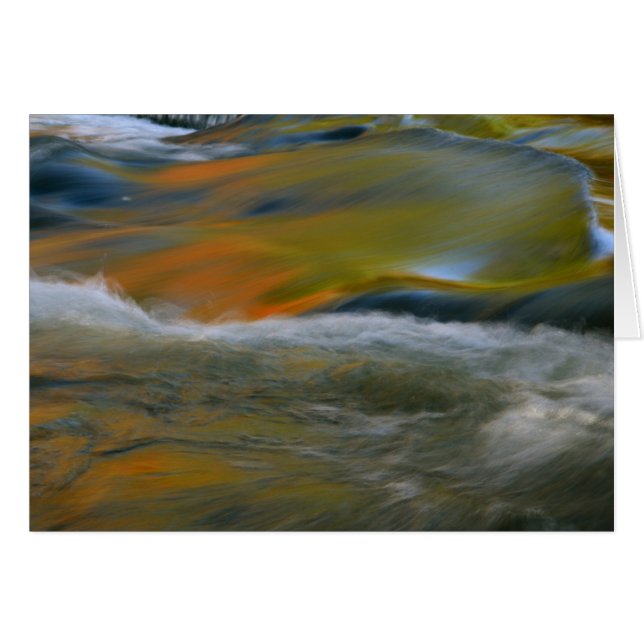 Bond Falls (Front Horizontal)