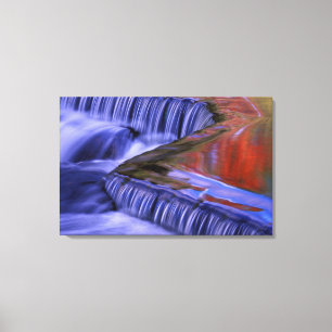 Bond Falls; Reflecting Fall Coloured Leaves; Canvas Print