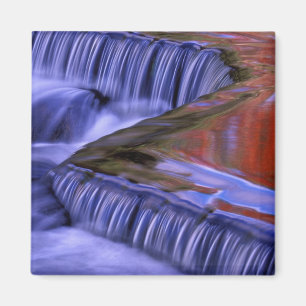 Bond Falls; Reflecting Fall Coloured Leaves; Magnet