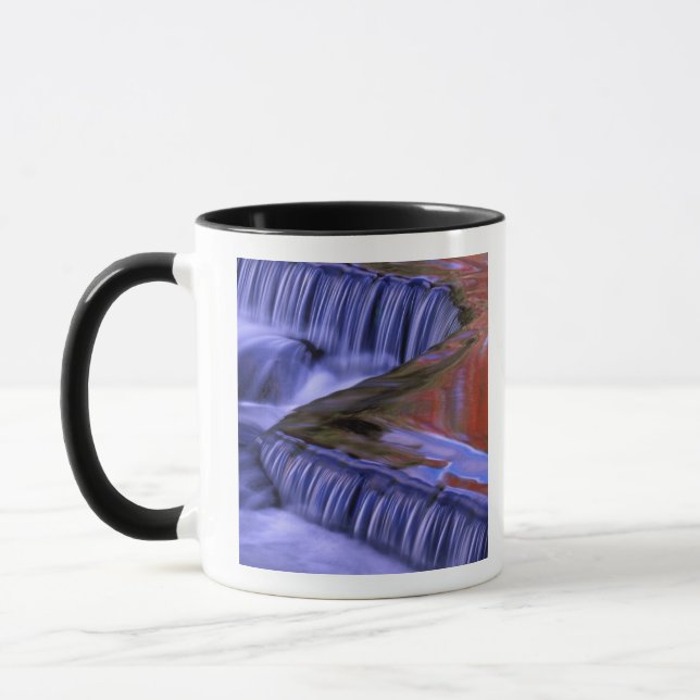Bond Falls; Reflecting Fall Coloured Leaves; Mug (Left)