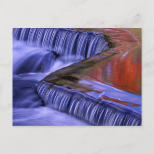 Bond Falls; Reflecting Fall Coloured Leaves; Postcard