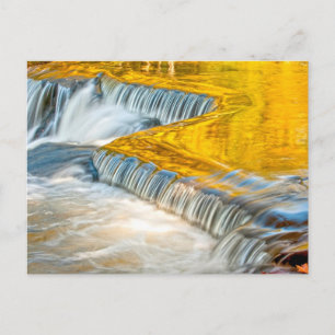 Bond Falls Reflecting Fall Colours Postcard