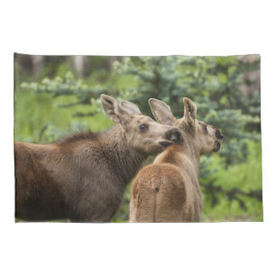Bonded Moose Calves Pillowcase