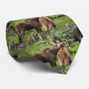 Bonded Moose Calves Tie