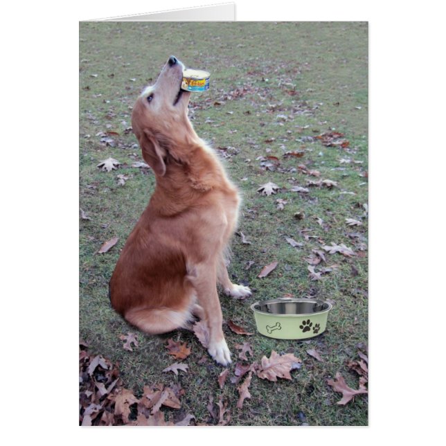 Bone Appetit (Front)