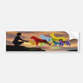 Bone Cancer Dogs Colorado Sky Bumper Sticker