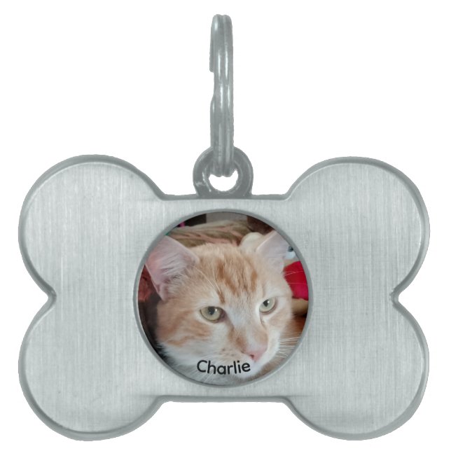 Bone Framed Pet Tag with Photo and Name (Front)