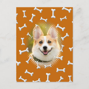 Bone Pattern Dog Frame Art Postcard