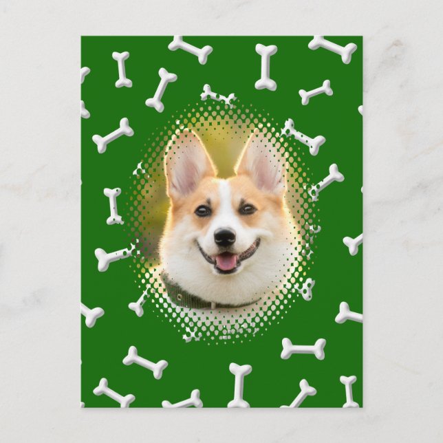 Bone Pattern Dog Frame Print Postcard (Front)