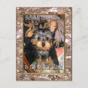 Bone Stash Yorkie Postcard