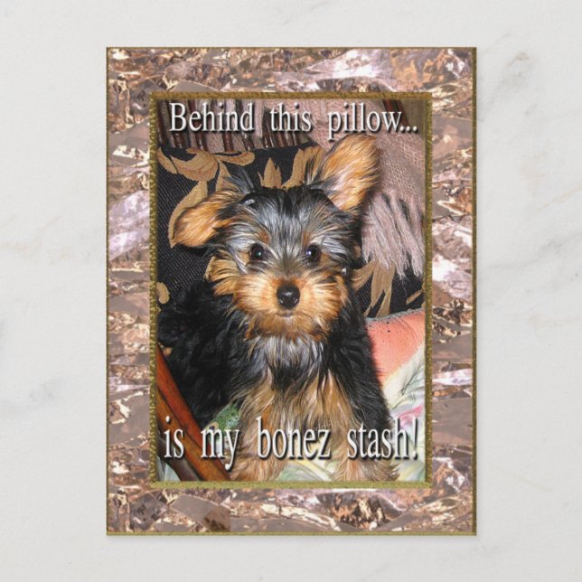 Bone Stash Yorkie Postcard (Front)
