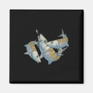 Bonefish Hunting A Salt Water Fly Fishing &amp; De Magnet