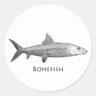 Bonefish Logo Classic Round Sticker