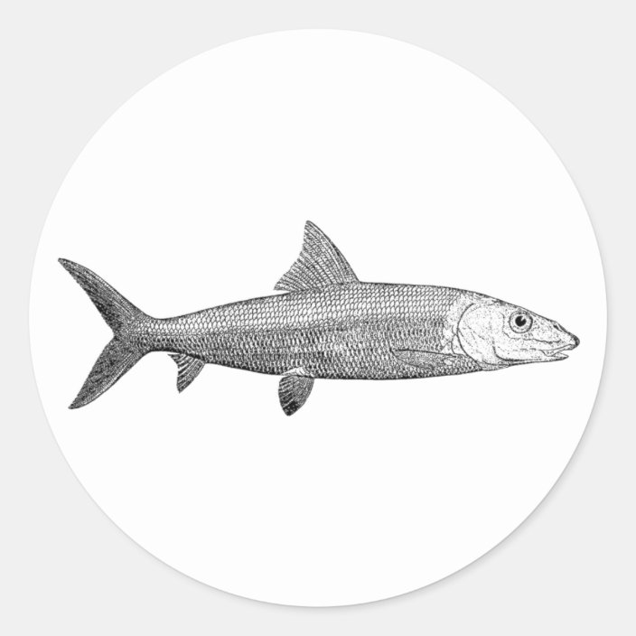 Bonefish Logo Classic Round Sticker | Zazzle.co.uk