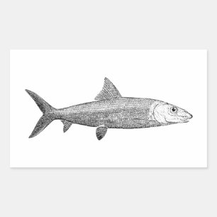 Bonefish Logo Rectangular Sticker