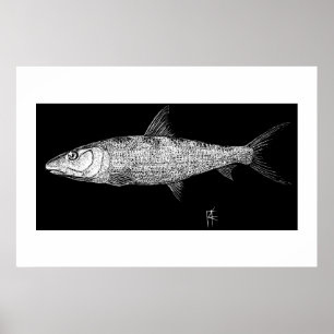 Bonefish Scratch art Poster