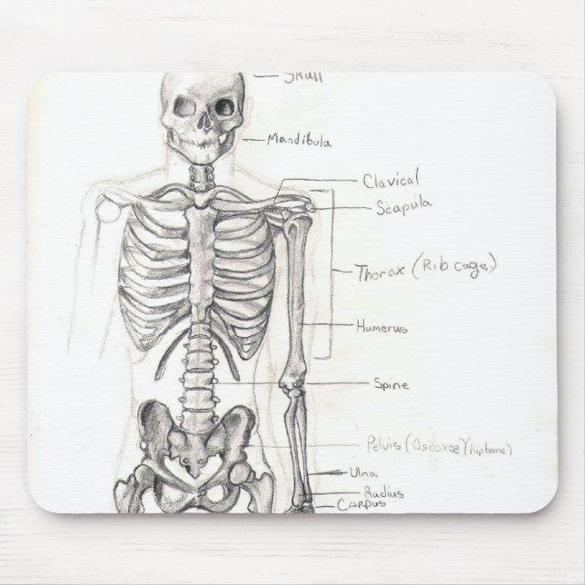 Bones Mouse Mat (Front)
