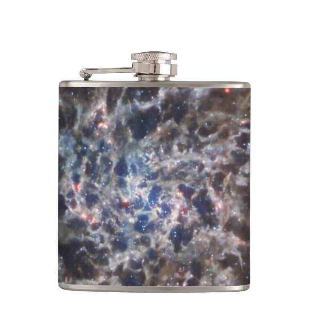 Bones of Galaxy IC5332 from JWST Hip Flask (Front)