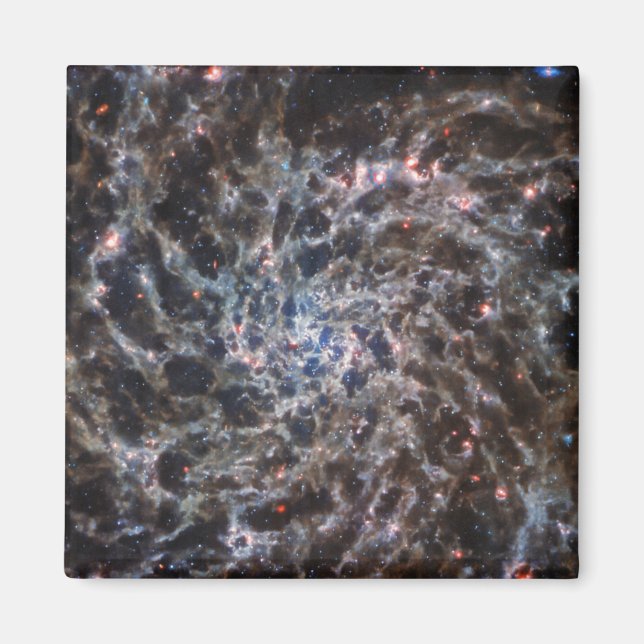 Bones of Galaxy IC5332 from JWST Magnet (Front)