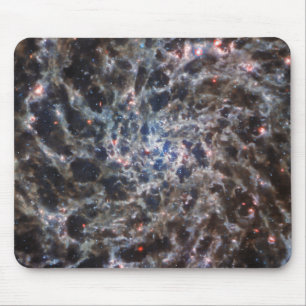 Bones of Galaxy IC5332 from JWST Mouse Mat