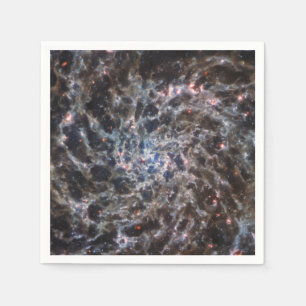 Bones of Galaxy IC5332 from JWST Napkin