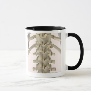 Bones of Lumbar Vertebrae 3 Mug