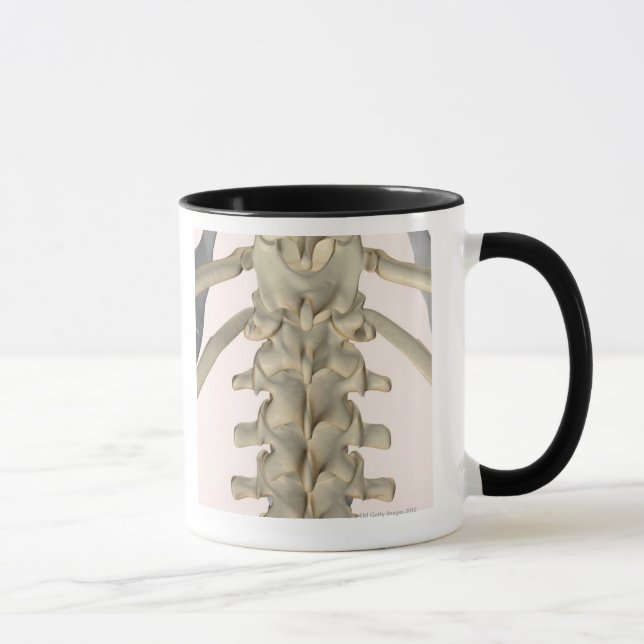 Bones of Lumbar Vertebrae 3 Mug (Right)