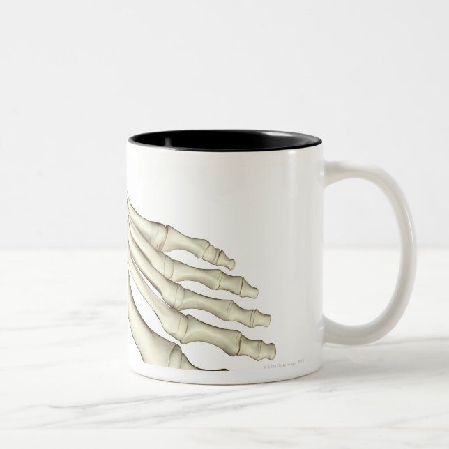 Bones of the Foot 2 Two-Tone Coffee Mug (Right)